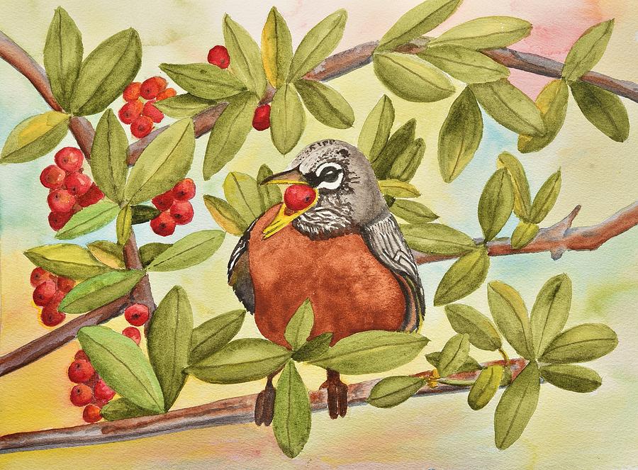 Robin Eating Berries Painting by Linda Brody
