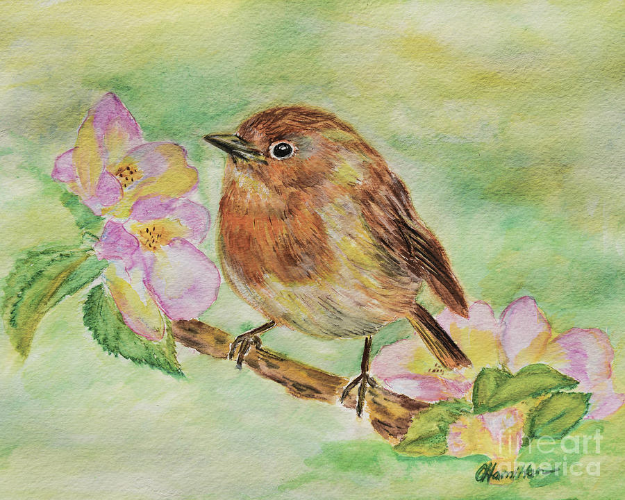 Robin in Flowers Painting by Olga Hamilton