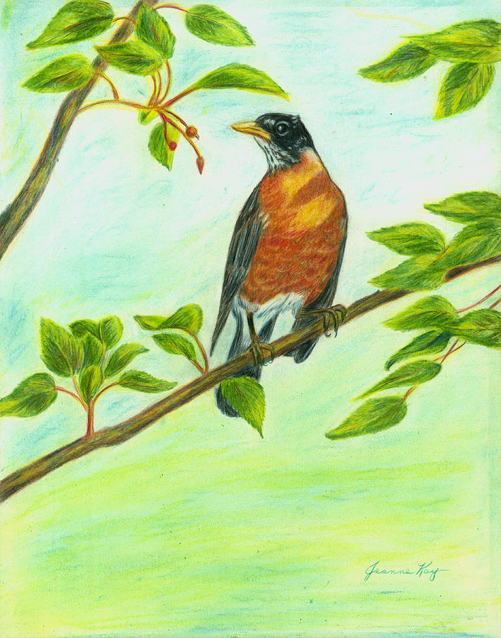 Robin in Spring Painting by Jeanne Juhos