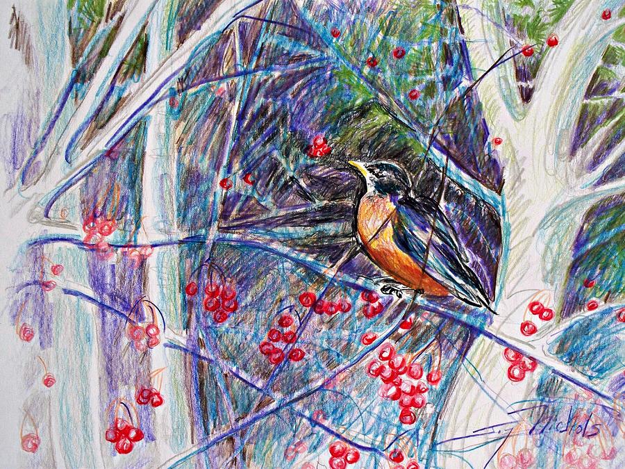 Robin In The Crab Apple Trees Sketch Drawing by Joy Nichols