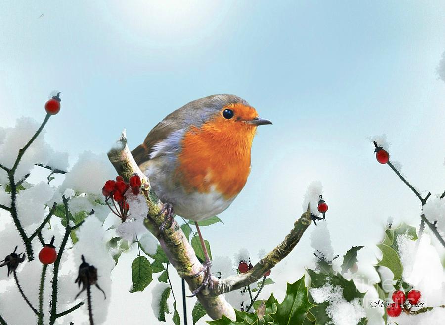 Robin in the Snow Mixed Media by Morag Bates