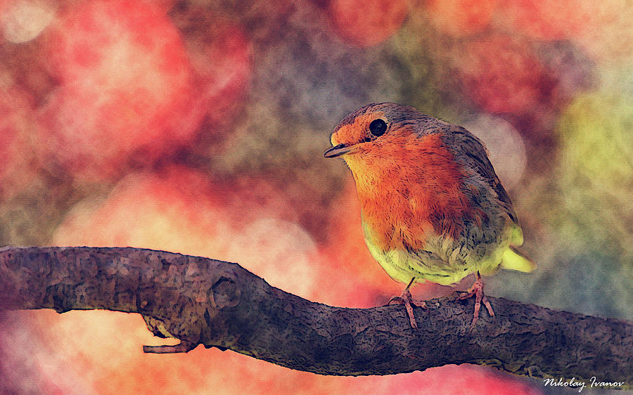 Robin Painting by Nikolay Ivanov - Pixels