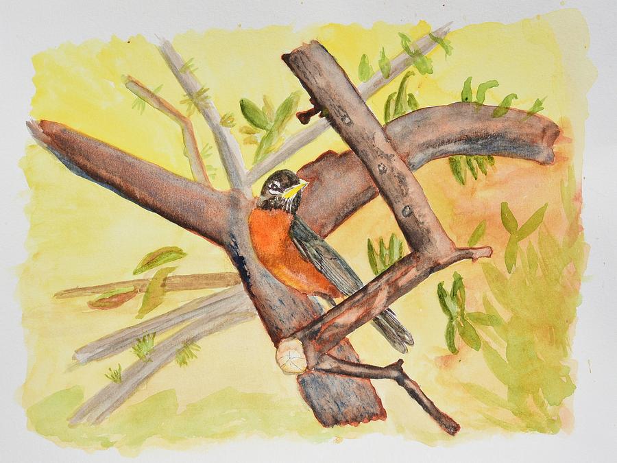 Robin on Tree Branch Painting by Linda Brody