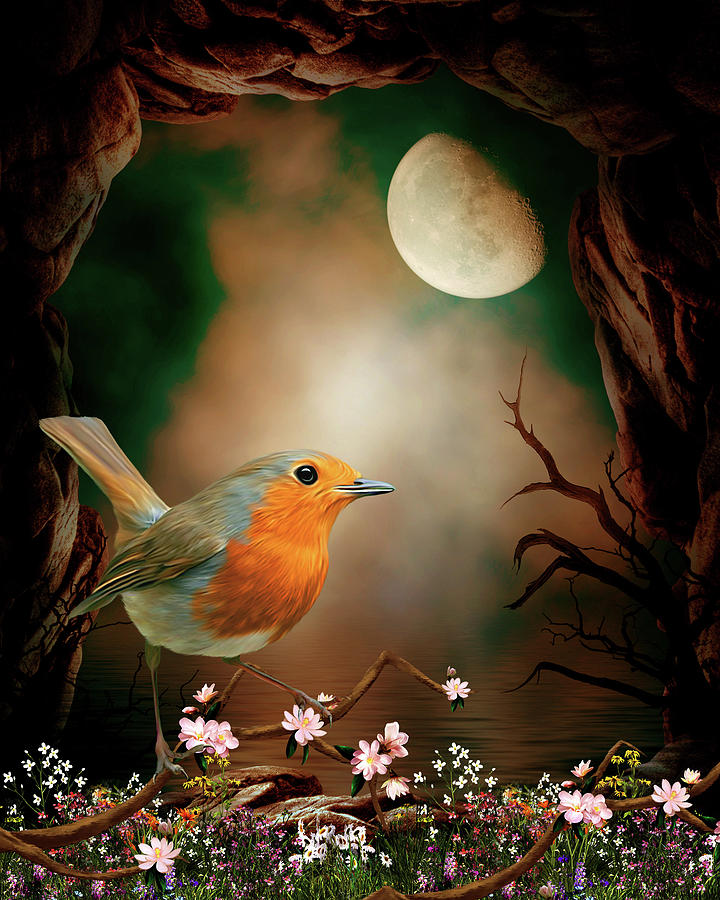 Robin in the moonlight Digital Art by John Junek