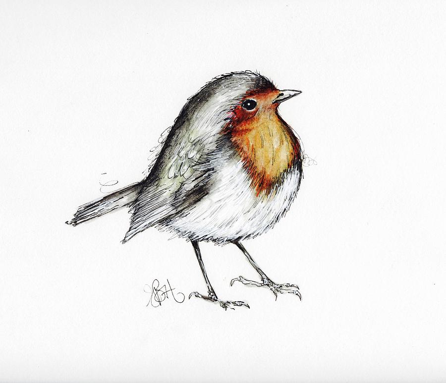 Robin Red Breast sketch, www.amyholliday.co.uk
