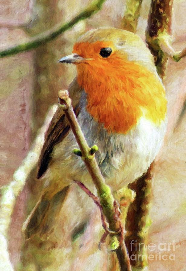 Robin Red Breast Painting by Esoterica Art Agency