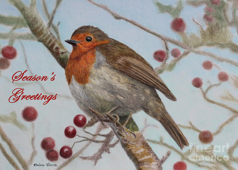 Robin Seasons Greetings Card Painting by Elaine Jones