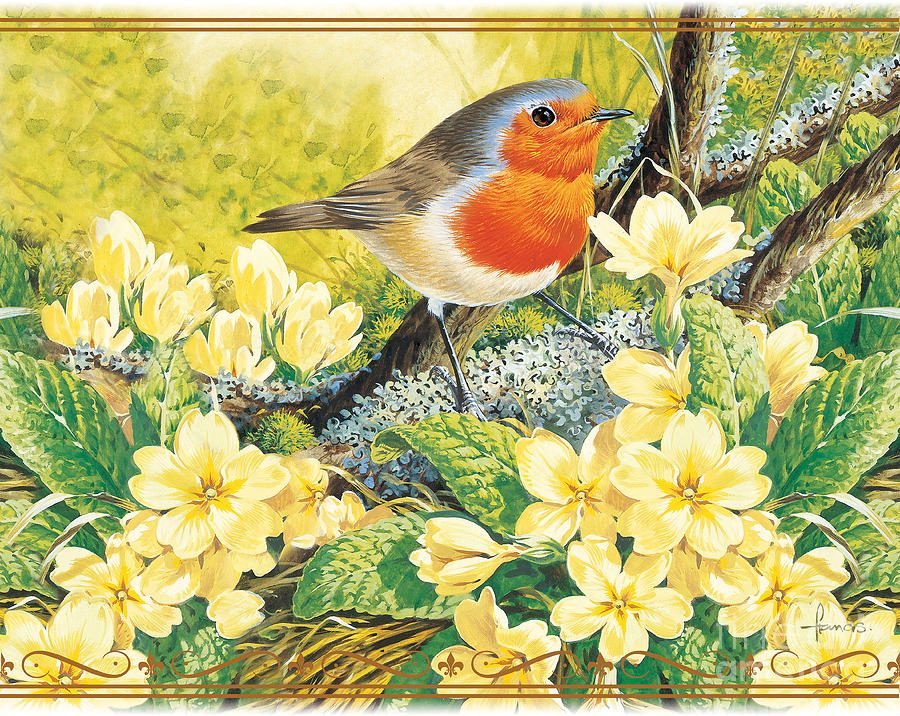 Robin Digital Art - Robin Spring by MGL Meiklejohn Graphics Licensing