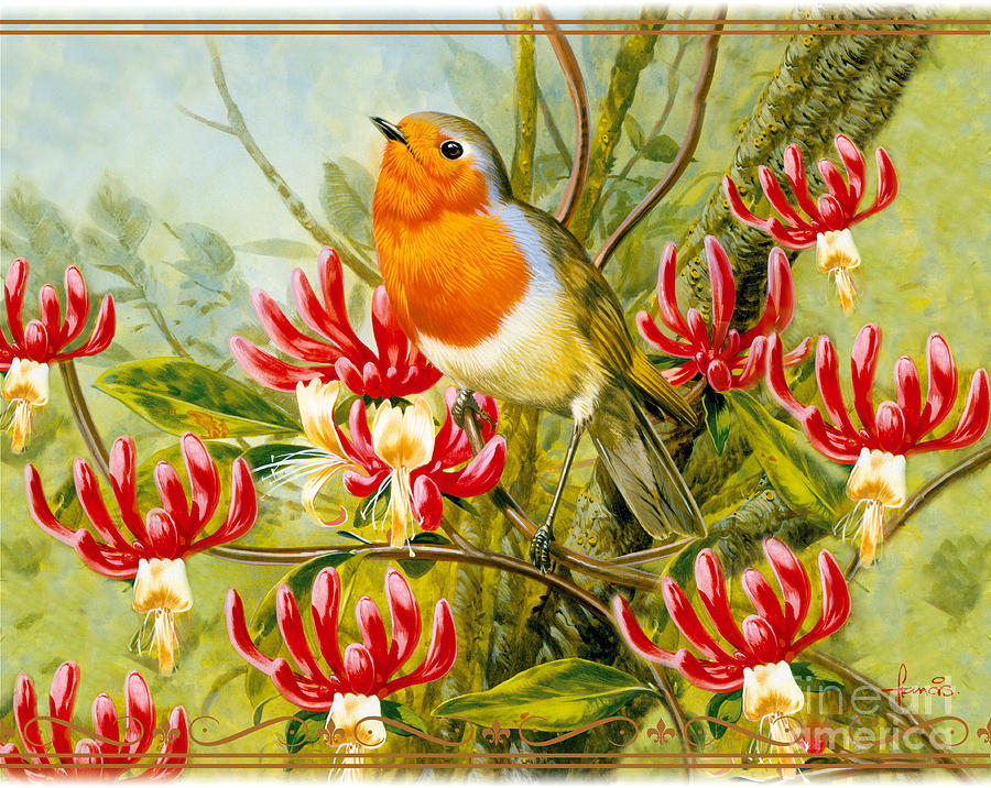 Robin Summer Painting by MGL Meiklejohn Graphics Licensing