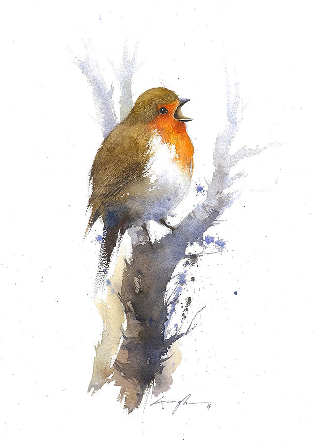 Singing Bird Painting - Robin watercolour bird by Nitin Singh