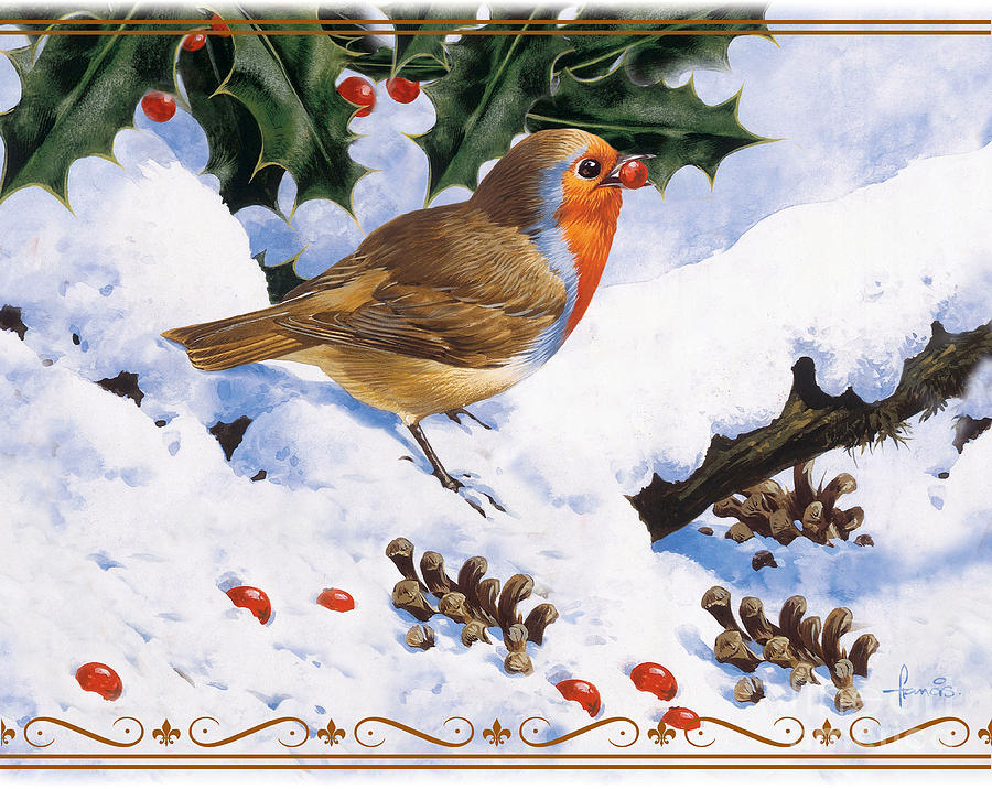 Robin Winter Painting by MGL Meiklejohn Graphics Licensing