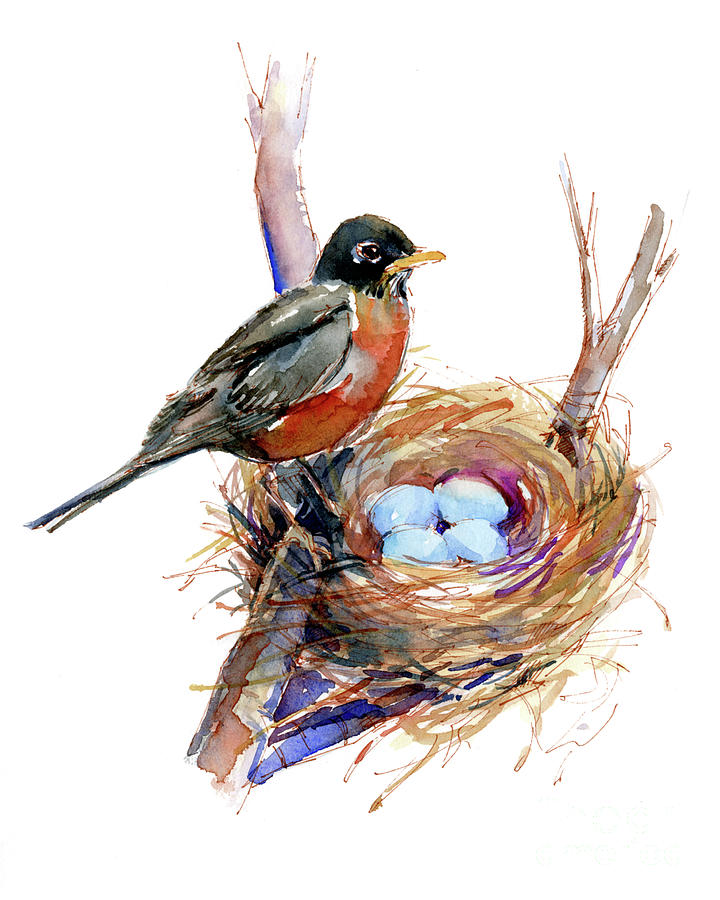 Bird Painting - Robin with nest by John Keeling