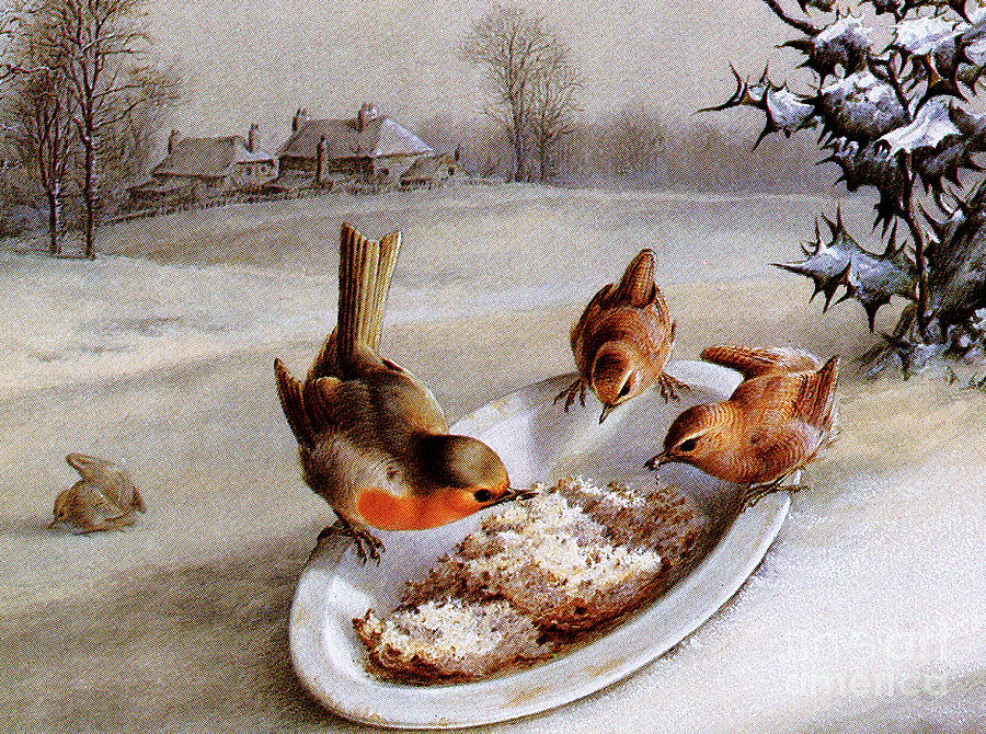 Robins and Wrens  Winter breakfast Painting by Harry Bright