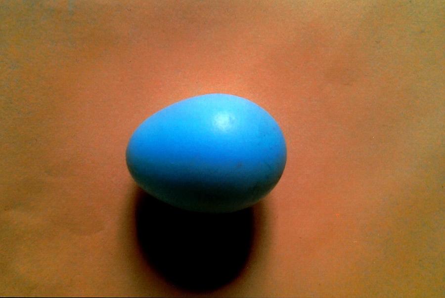 Robins Egg Photograph by Robert Nickologianis