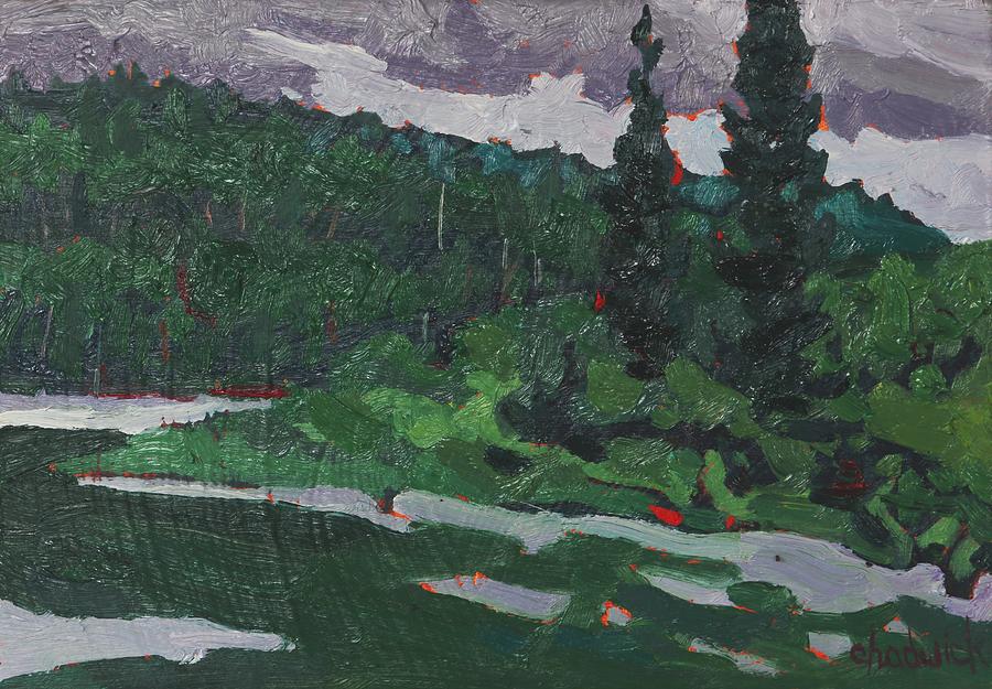 Robinson Black Spruce Point Painting by Phil Chadwick