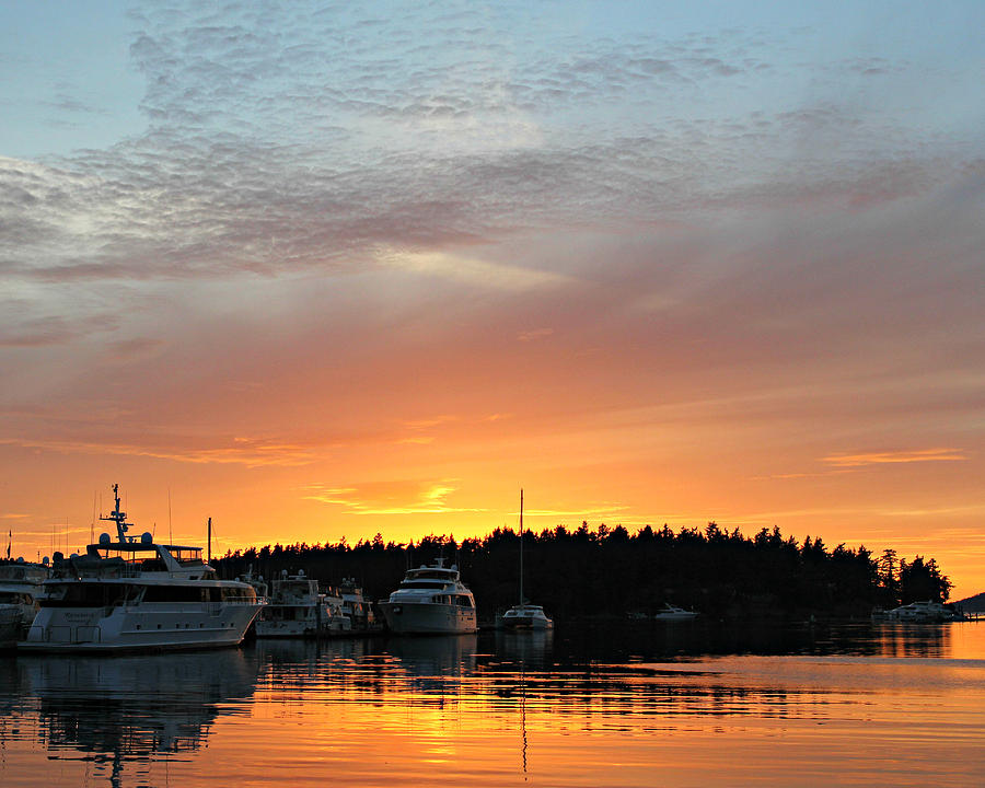 Roche Harbor Sunset Photograph by Steve Natale