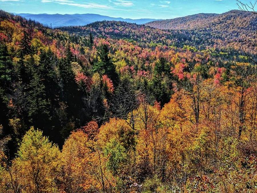 Fall Photograph - Rochester Gap, Vt
#autumn #pixelxl by Craig Szymanski
