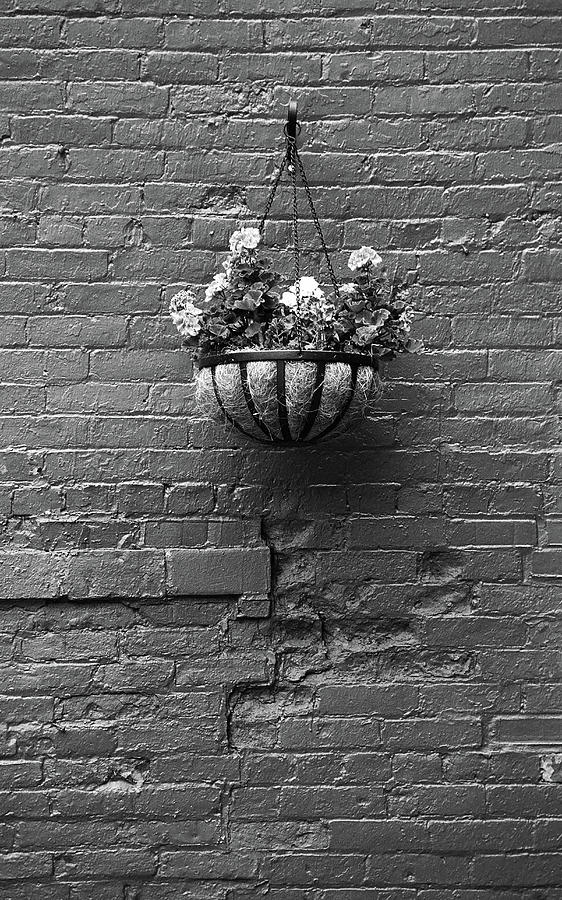 Rochester, New York - Wall and Flowers BW Photograph by Frank Romeo