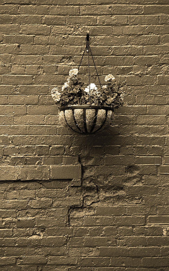 Rochester, New York - Wall and Flowers Sepia Photograph by Frank Romeo