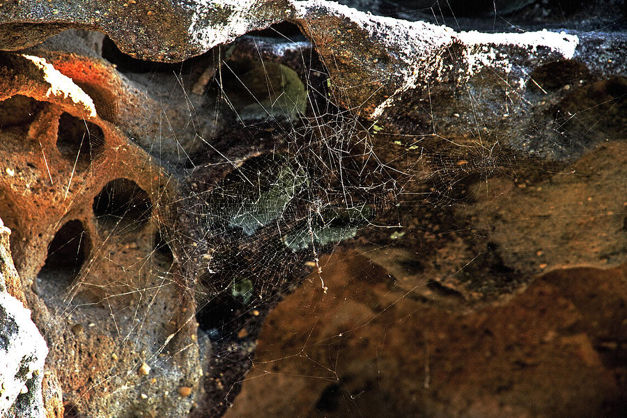 Abstract Photograph - Rock Abstract With A Web by Miroslava Jurcik
