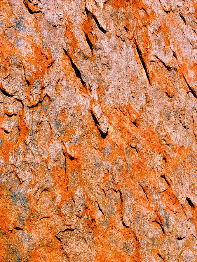 Rock Abstracts of Kata Tjuta #1 Photograph by Lexa Harpell