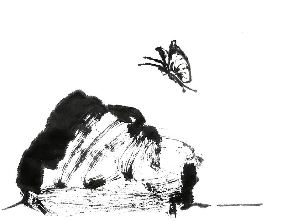 Rock and butterfly Drawing by Hae Kim