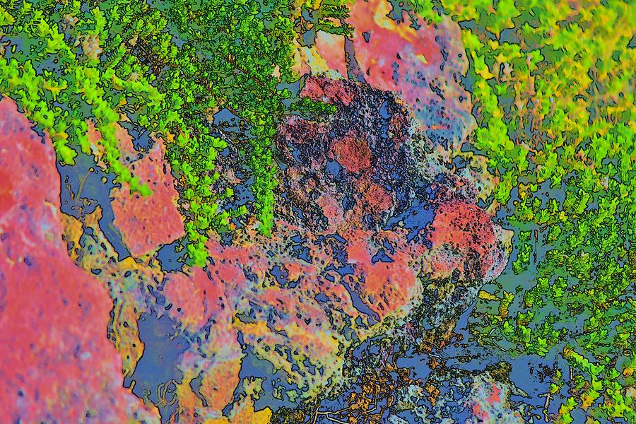 Rock and Shrub Abstract Bright Photograph by Linda Brody