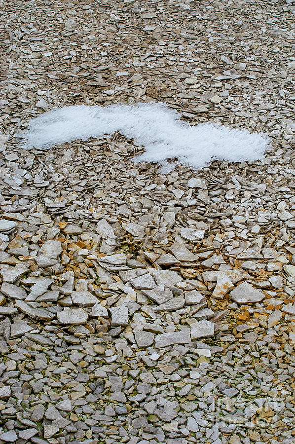 Rock and Snow Abstract Photograph by Bob Phillips