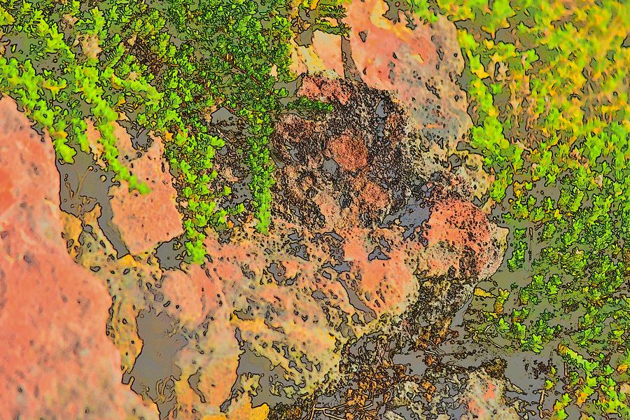 Rock and Shrub Abstract I  Photograph by Linda Brody