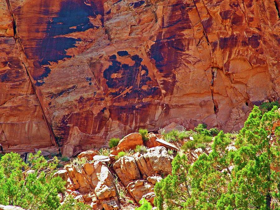 Rock Art on Desert Varnish  on Tour of the Tilted Rocks in Dinosaur National Monument, Utah Photograph by Ruth Hager