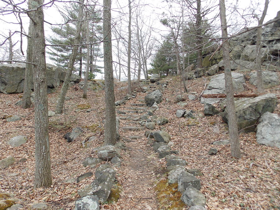 Rock Bordered Path Photograph by Catherine Gagne