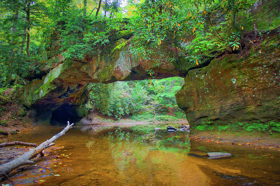 Rock Bridge, Red River Gorge KY Photograph by Ina Kratzsch