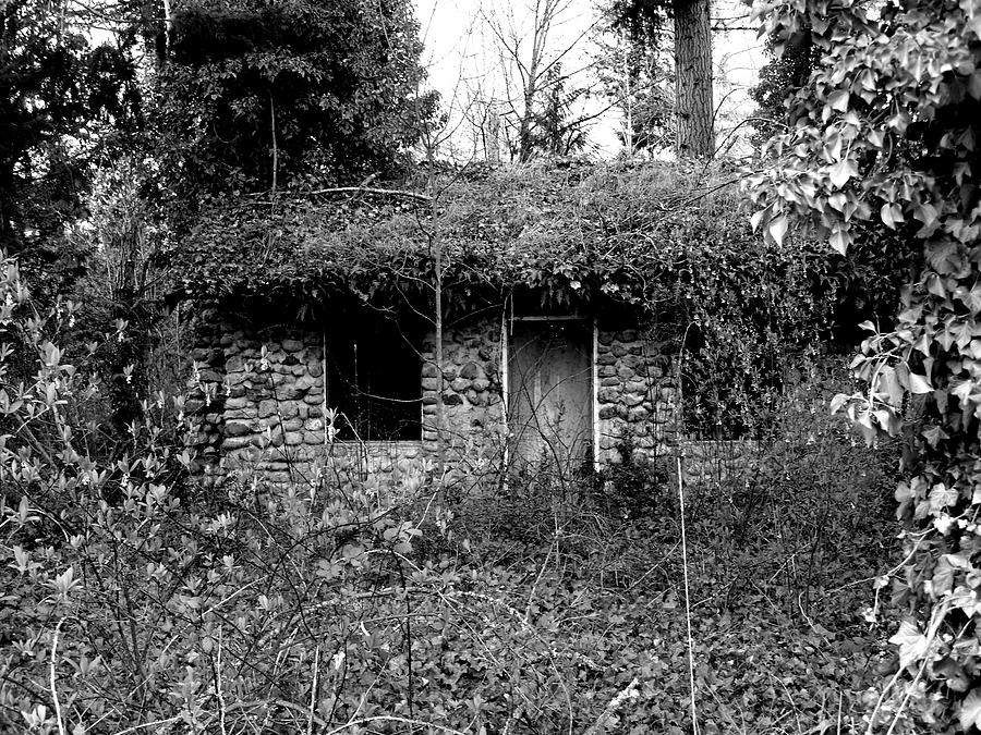 Nature Photograph - Rock Cabin Black And White by Laurie Kidd