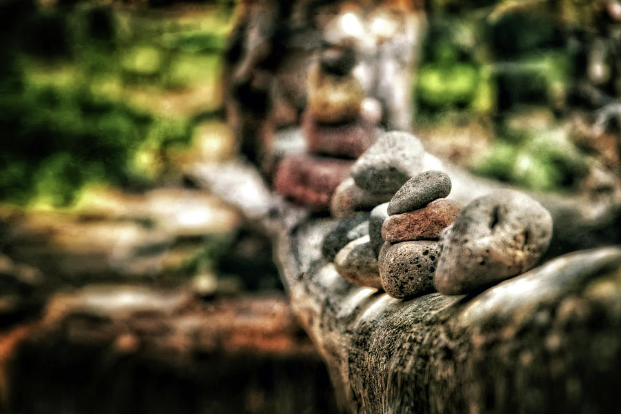 Rock Cairn at Buddha Beach Sitting on Tree Branch - Sedona Photograph by Jennifer Rondinelli Reilly - Fine Art Photography