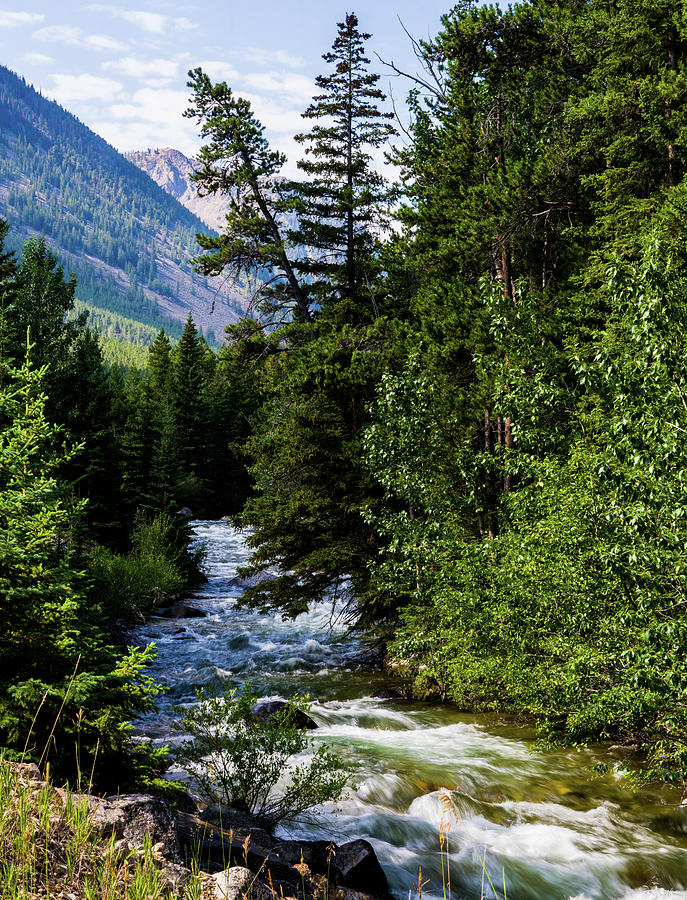 Rock Creek and the Beartooth Mountains Photograph by TL Mair