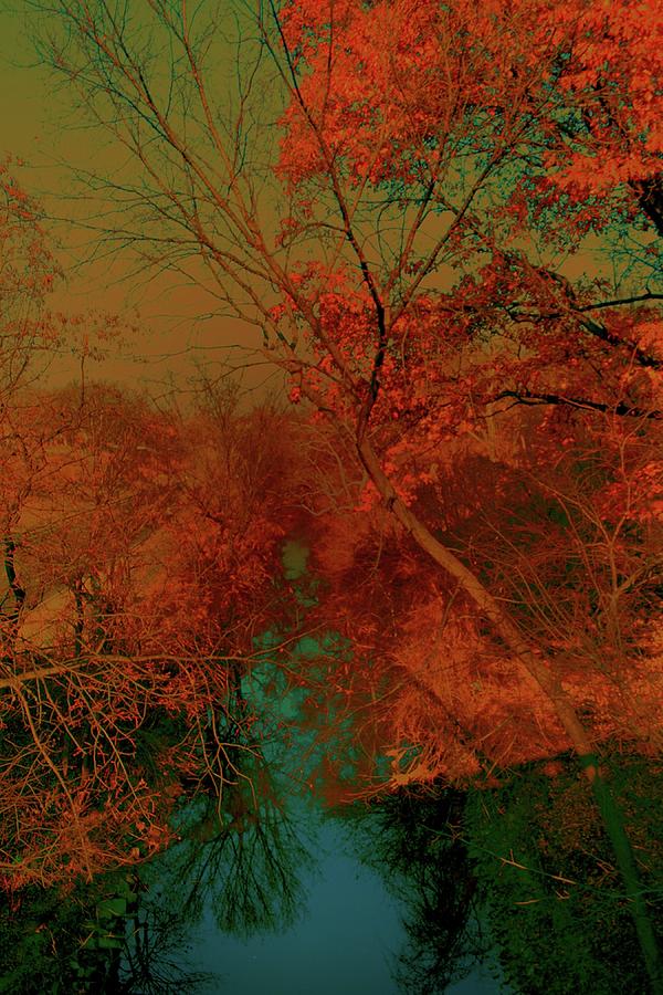 Rock Creek at M by Darlene Evonne Rock Creek at M by Darlene Evonne