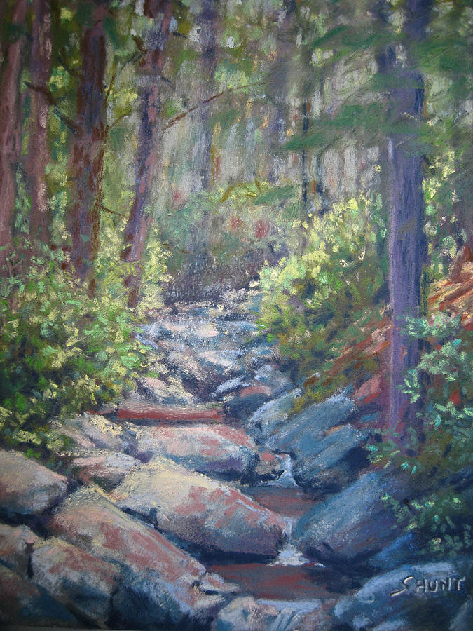 Rock Creek Painting by Shirley Braithwaite Hunt