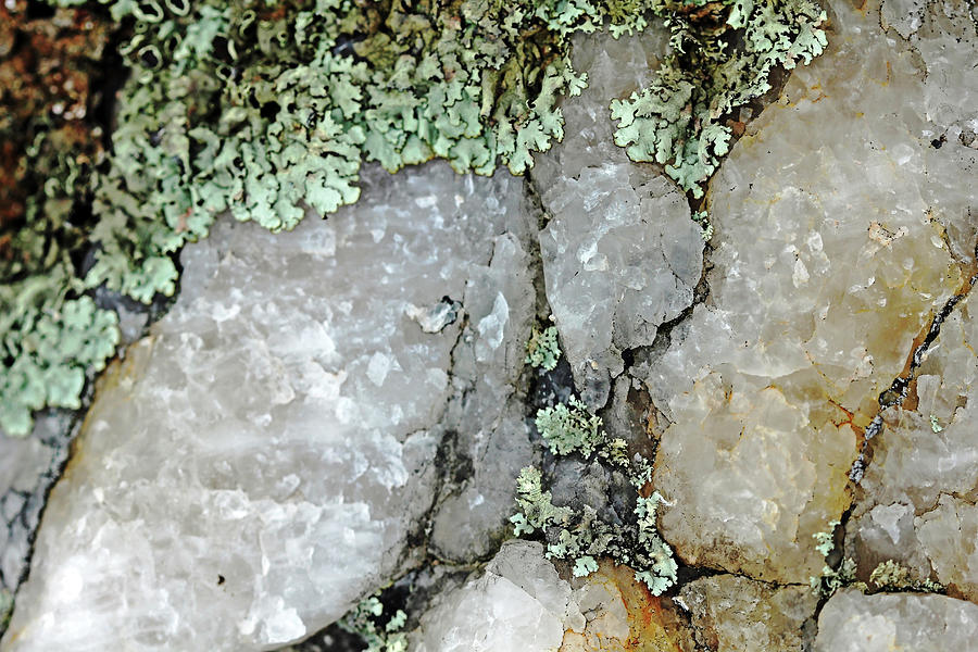 Rock Crystal I Photograph by Debbie Oppermann