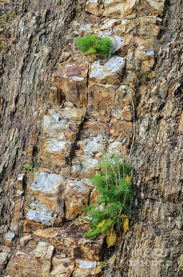 Rock Cutting 2 Photograph by Werner Padarin