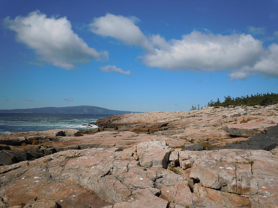 Rock flow at Schoodic Point Photograph by Francine Frank