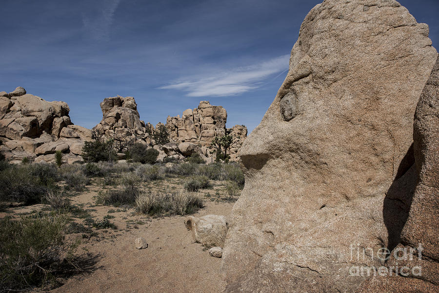 Rock Formation at Joshua Tree National Park Photograph by Juli Scalzi