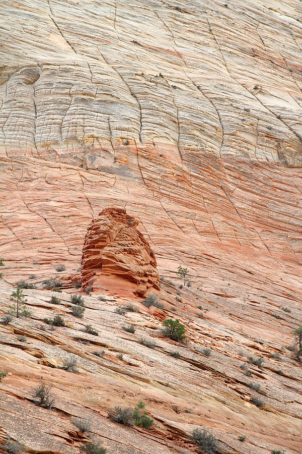 Rock Formation In Zion National Park Photograph