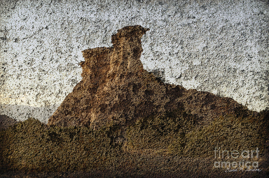 Nature Photograph - Rock Formation On Adobe Wall by David Gordon