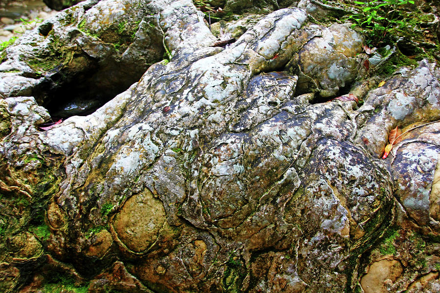Rock Formation Rio Damajagua Photograph by Debbie Oppermann