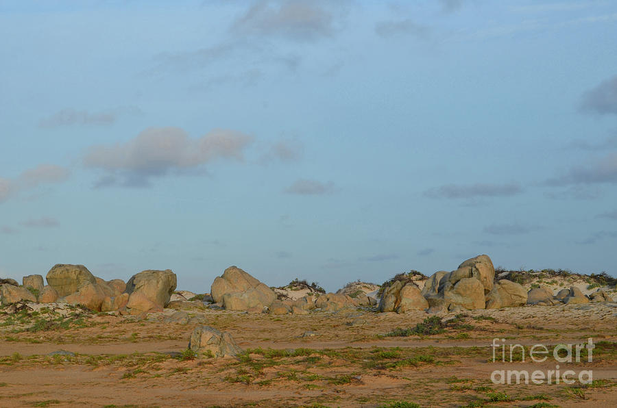 Rock Formations Along the North Shore of Aruba Photograph by DejaVu Designs