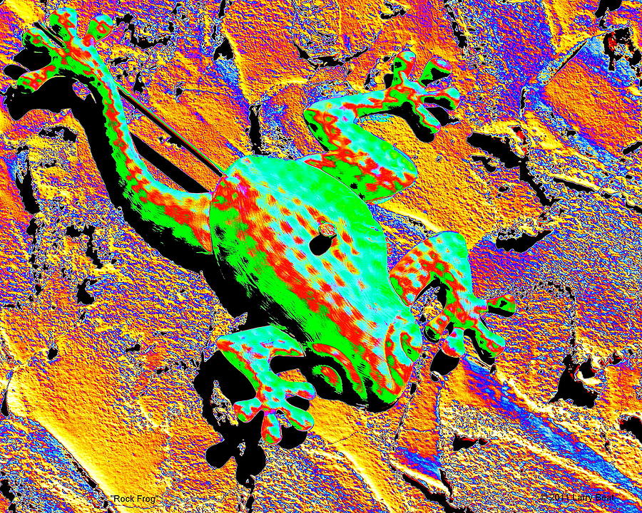 Rock Frog Digital Art by Larry Beat