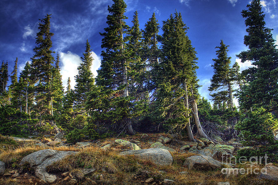 Nature Photograph - Rock Garden by Pete Hellmann Nature Photograph - Rock Garden by Pete Hellmann