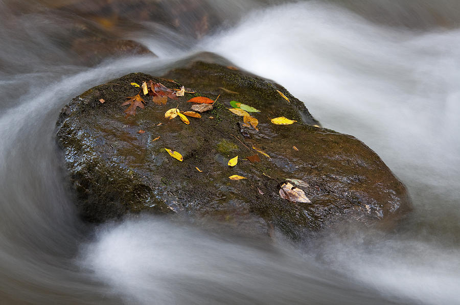 Nature Photograph - Rock in water by Itai Minovitz
