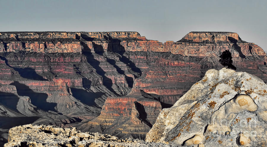 Rock Layers Mountains Grand Canyon Landscape Photograph by Chuck Kuhn
