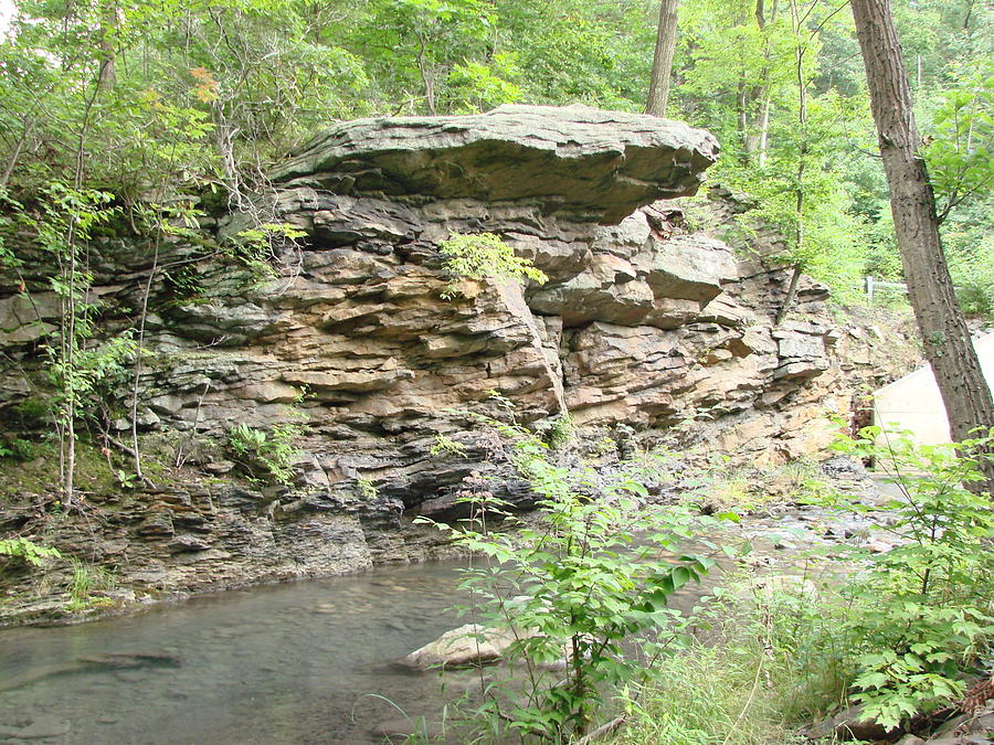 se permiten perros en el rancho rock ledge